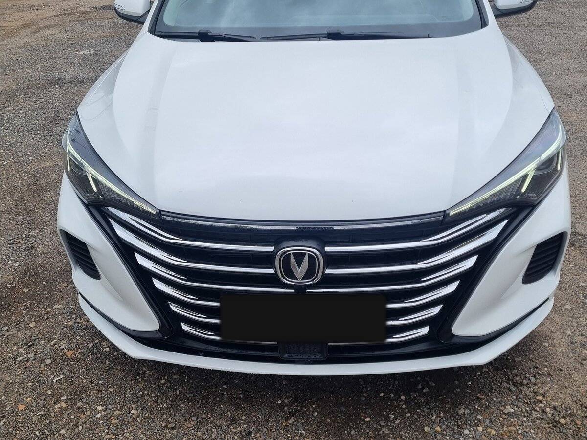 Changan Eado Plus, 2024 Фото №3