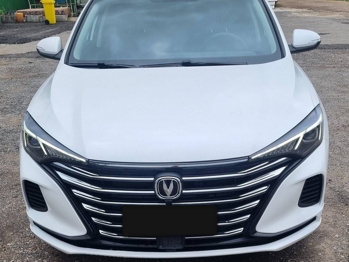 Changan Eado Plus, 2024 Фото №2